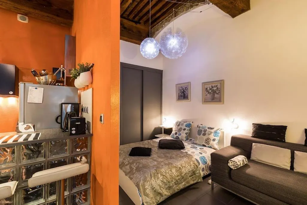 Διαμέρισμα Appartement A 3 Min Des Jacobins Λυών
