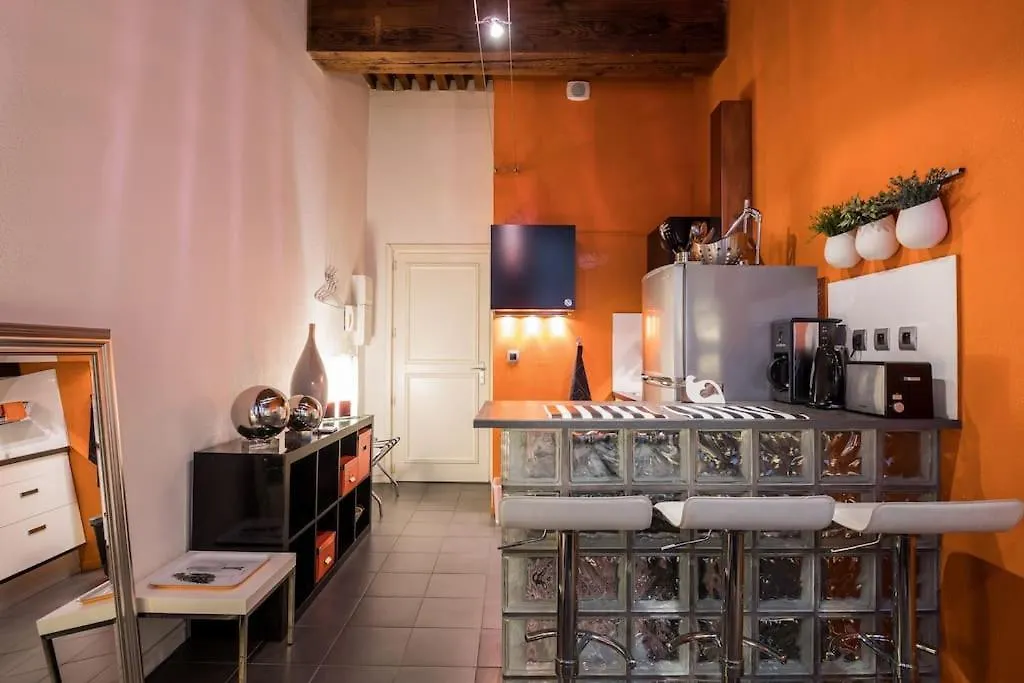 Appartement A 3 Min Des Jacobins Λυών Γαλλία