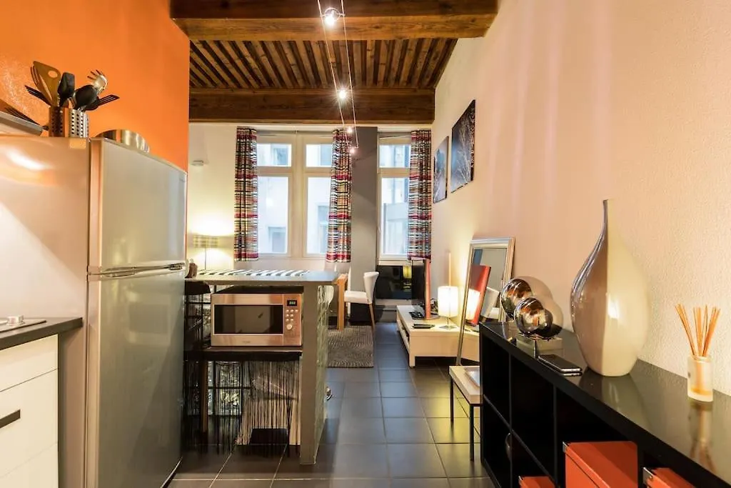 Appartement A 3 Min Des Jacobins Lyon